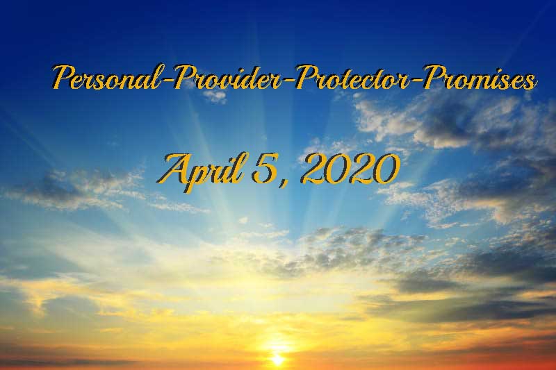 Personal Provider Protector Promises