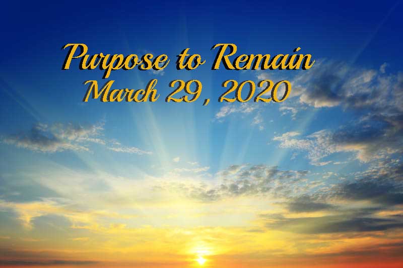 Purpose to Remain